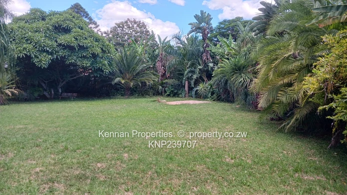 Awaiting your Vision and Creative updates.