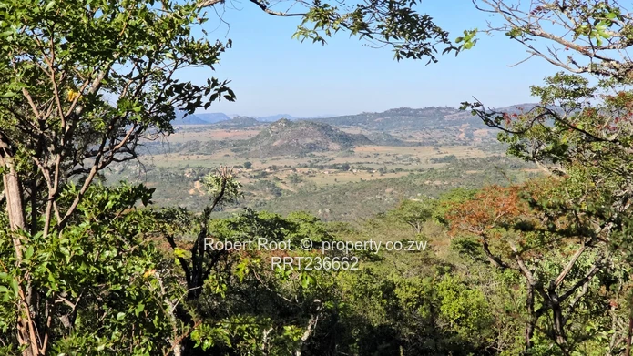 Picturesque Stand For Sale Juliasdale, Inyanga