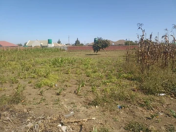 Stands & Residential Land