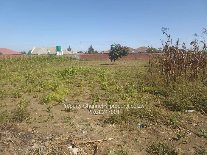 3000sqm Stand for Sale – Goodhope, Westgate Area