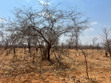 Farm & Agricultural Land