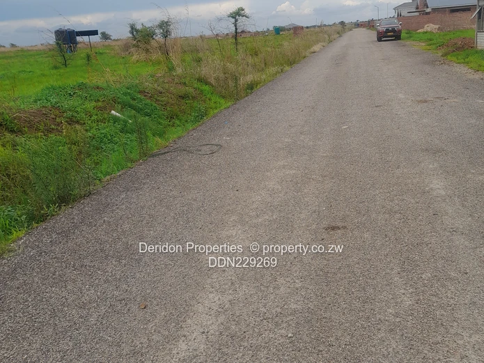 Build your dream home 