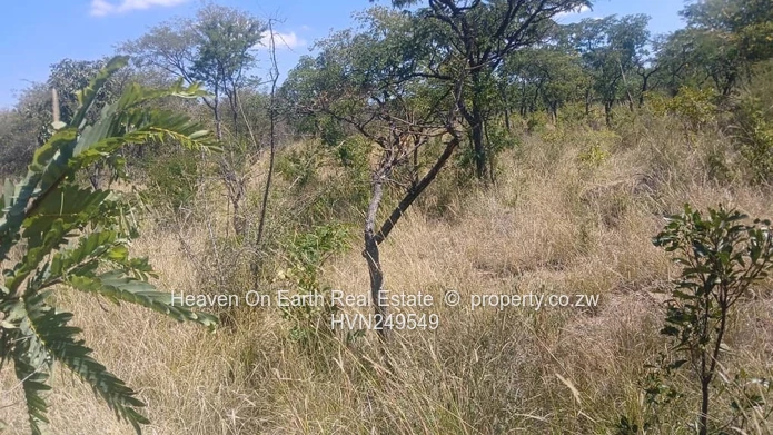 Plots for sale