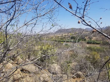 Mutare Farm With Odzi River