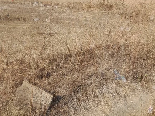 Commercial & Industrial Land