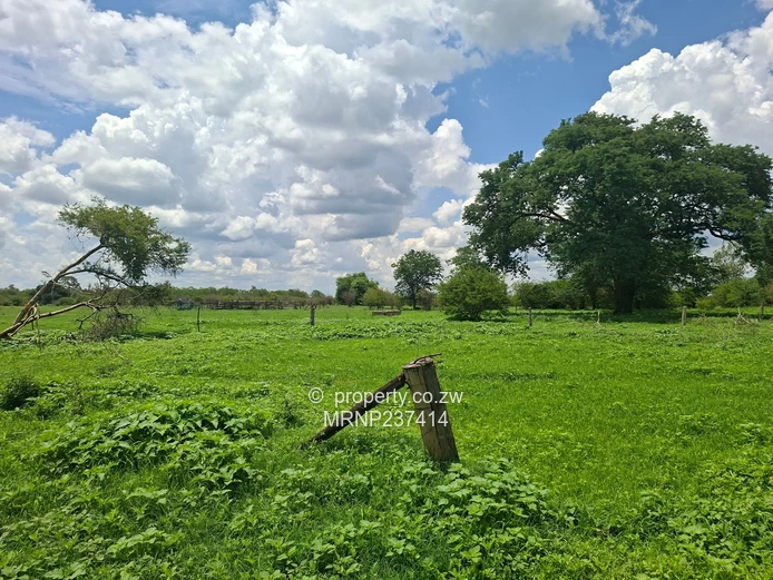 Beatrice Farm for sale