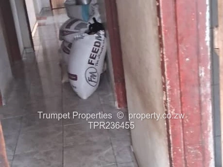 Blue-Roofed 4-Bed on 2000m² with Garden & Tiled Floors