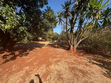 Land