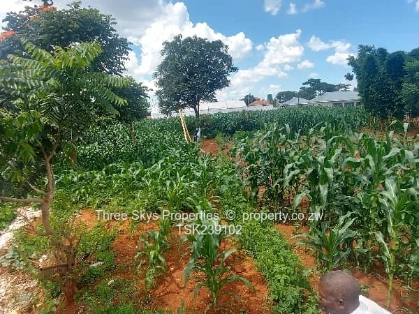 2200Sqm Stand For Sale 