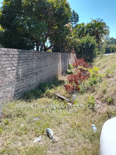 Avondale Prime Commercial Land – Usd 375,000