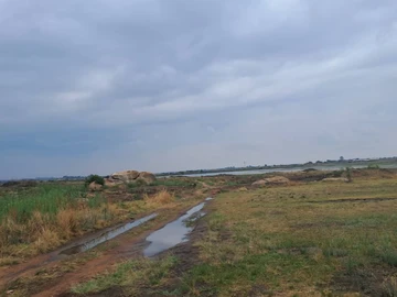 Farm & Agricultural Land