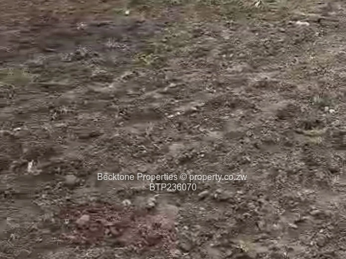 Cowdray Park Stand for sale  (Sole Mandate)