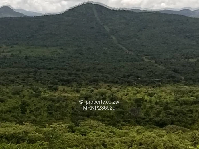 Nyanga Agro-Residential Plots for sale