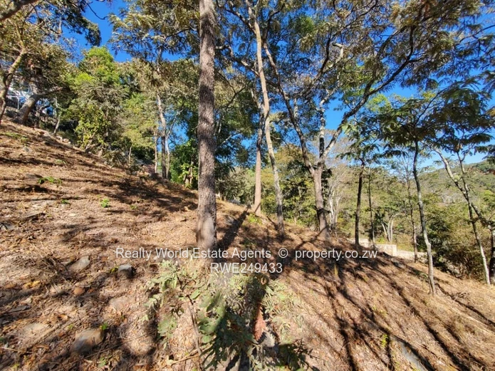 Residential Stand for Sale – Glen Lorne