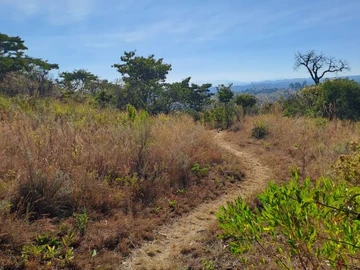 Nyanga Juliasdale 1ha plots for holiday homes. 20k , balance 8months