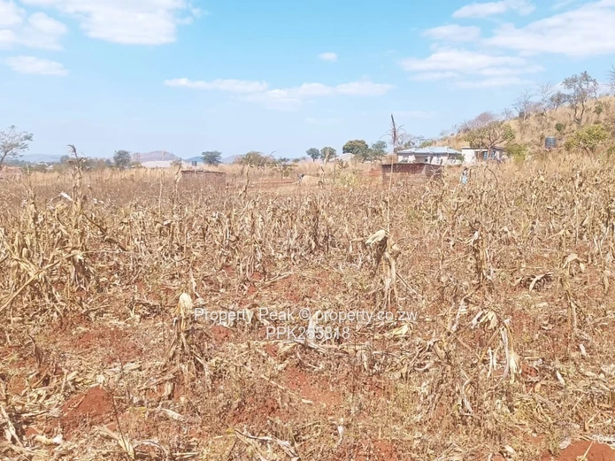 Crowhill Views (Maredza Area) Stand – 1000m² 