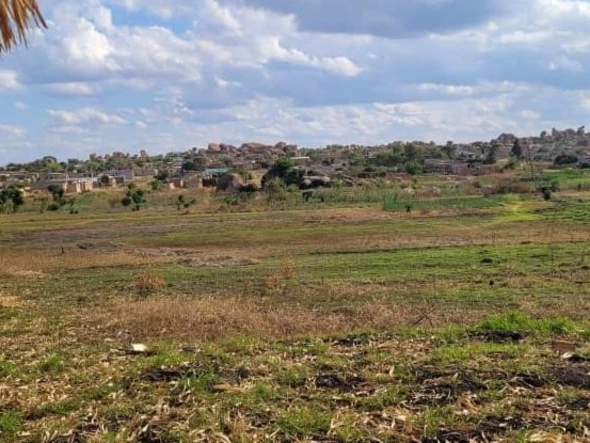 Commercial & Industrial Land