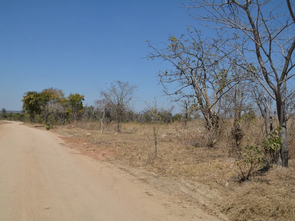 Farm & Agricultural Land