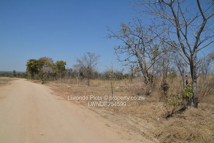 1ha Goromonzi Farm — Arable Field by Gravel Main Road