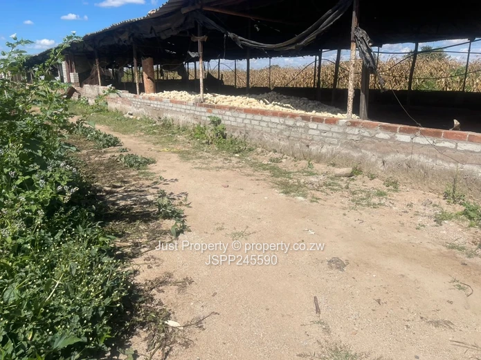 Prime 2.8ha Farm for Sale in Rainham, Harare West (Sole Mandate)