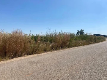 Commercial & Industrial Land