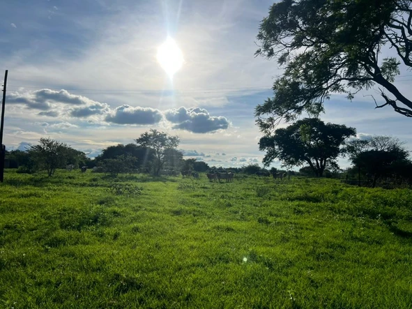 Farm & Agricultural Land