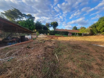 Stands & Residential Land