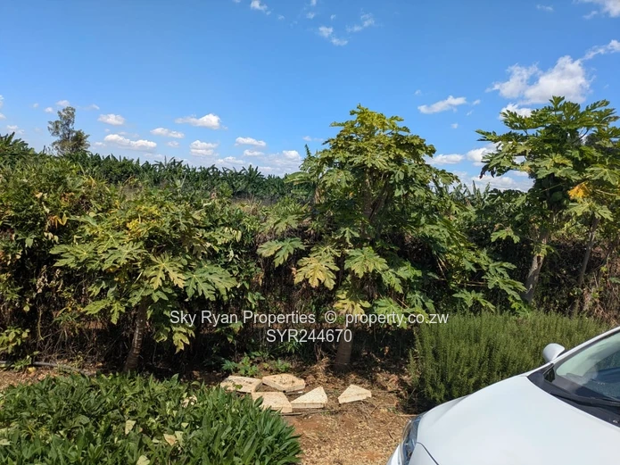 Norton Turnkey Farm For Sale