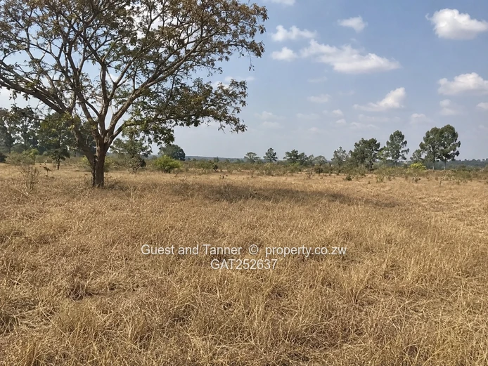 Residential/Agro Stand for Sale- Ridgeway Park, Kwekwe