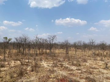 Farm & Agricultural Land