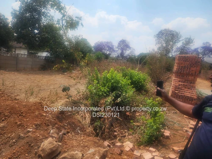 Malbereign stand for sale (Sole Mandate)