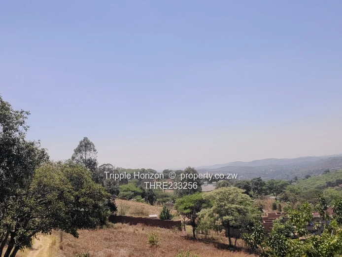 Enormous Investment Opportunity 