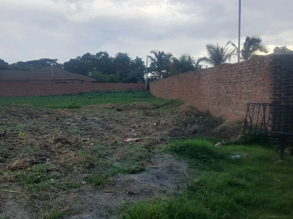 Stands & Residential Land