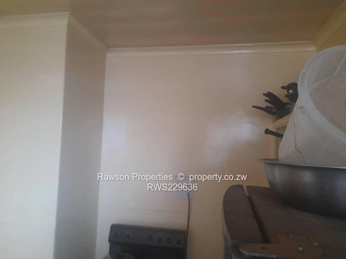 Investment opportunity! (Sole Mandate)