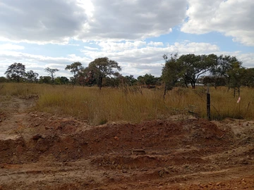 Farm & Agricultural Land