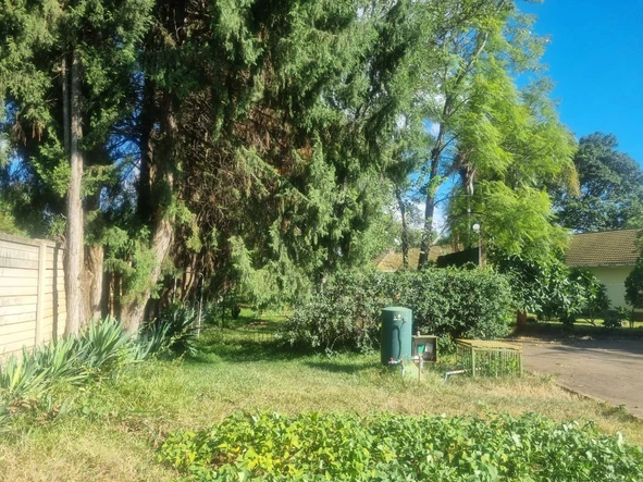 Stands & Residential Land