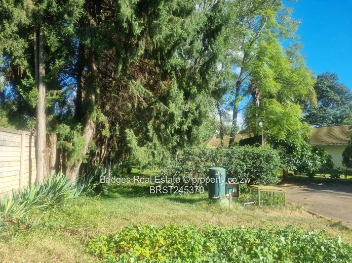 Subdivision Stand for Sale in Northwood Mt Pleasant 