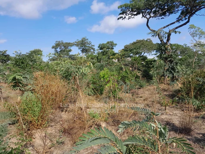 Land for Sale in Northgate Heights LCRE180067