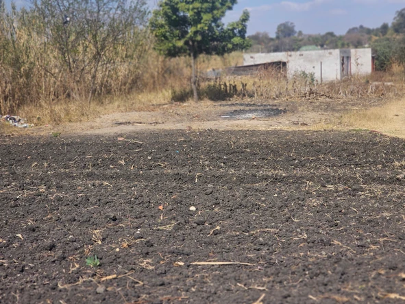 Commercial & Industrial Land