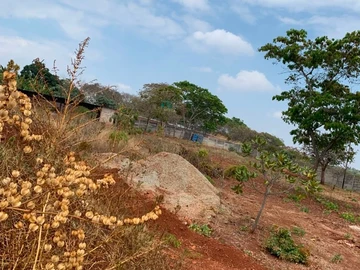 Land