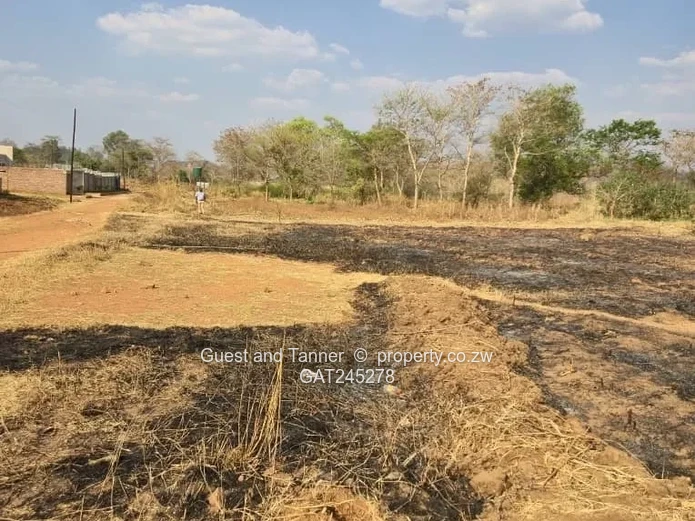 Ruwa Athelney Stands For Sale