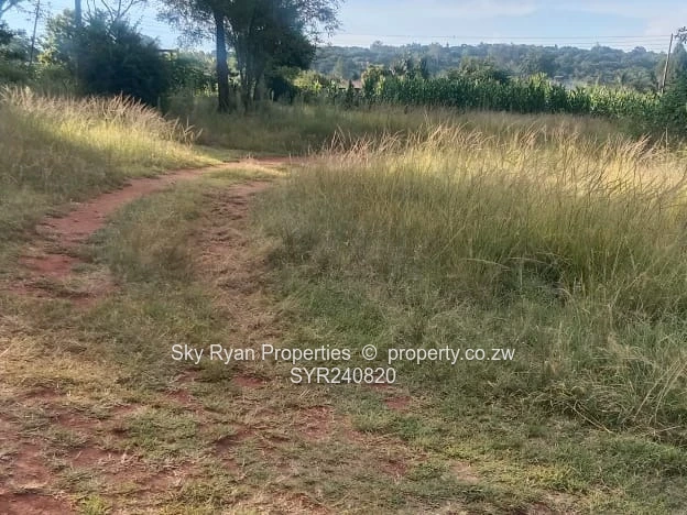 Borrowdale Quinnington Subdivision Stands For Sale