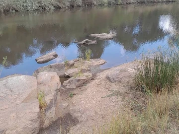 Farm & Agricultural Land