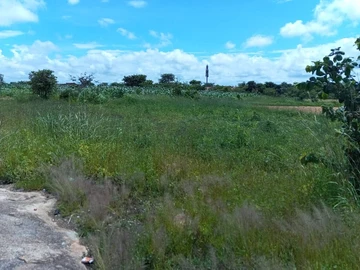 Commercial & Industrial Land