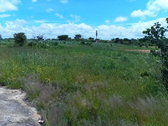 Commercial & Industrial Land