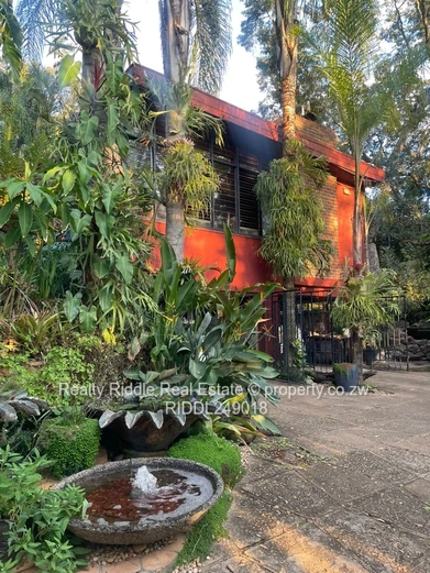 Tropical Architectural Masterpiece In Prestigious Glen Lorne