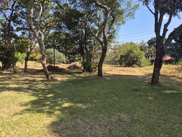 Land