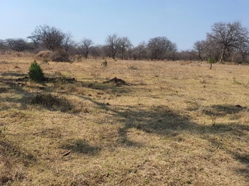 Farm & Agricultural Land