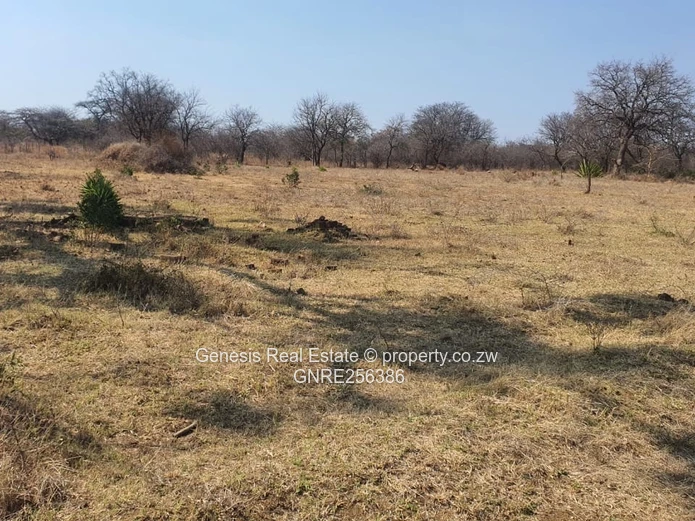 Prime Land For Sale Along Airport Road In Bulawayo!