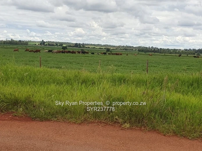 Mount Pleasant Heights Land For Sale